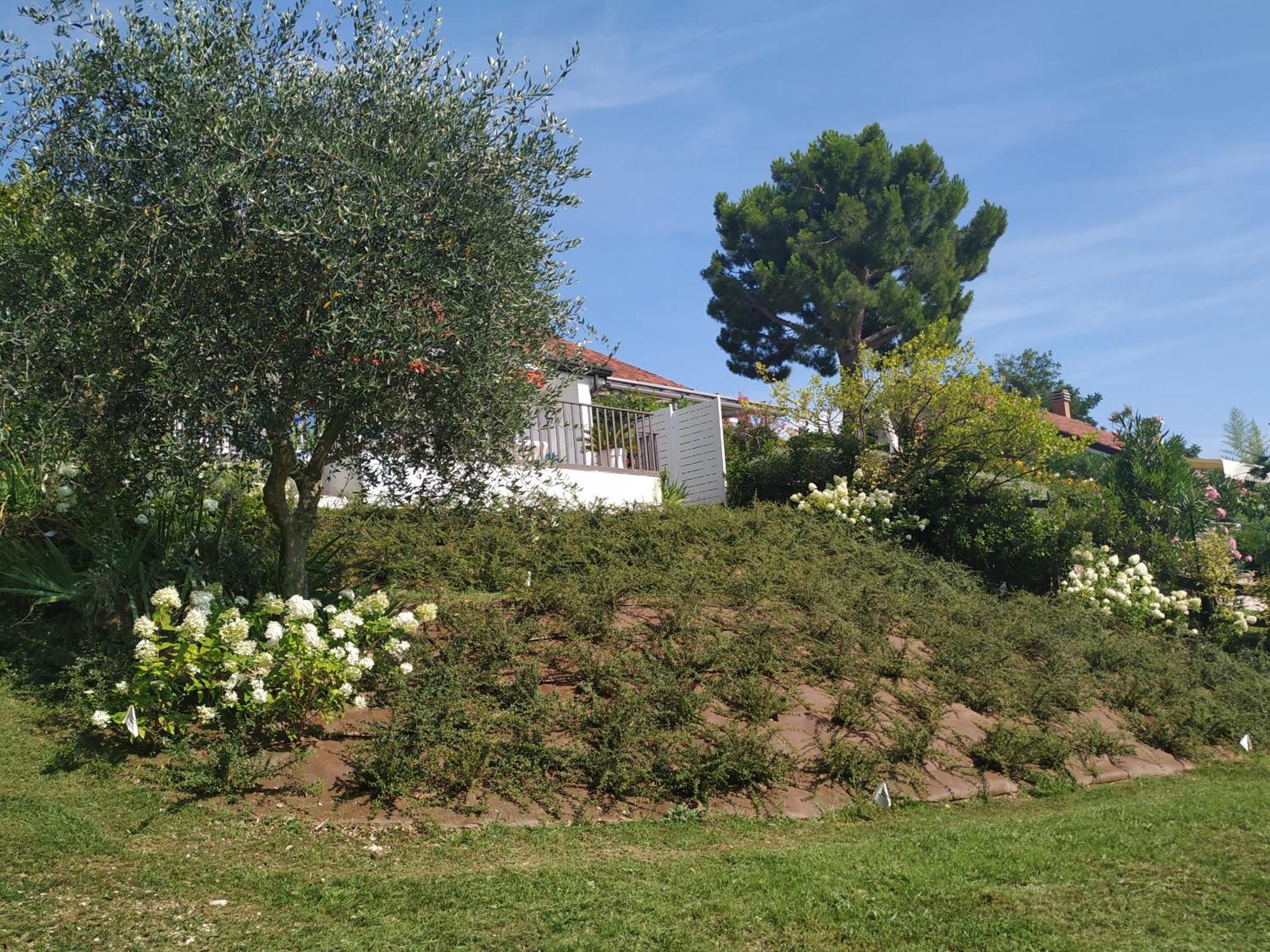 Villa Casa Fellini San Zeno di Montagna Exterior foto
